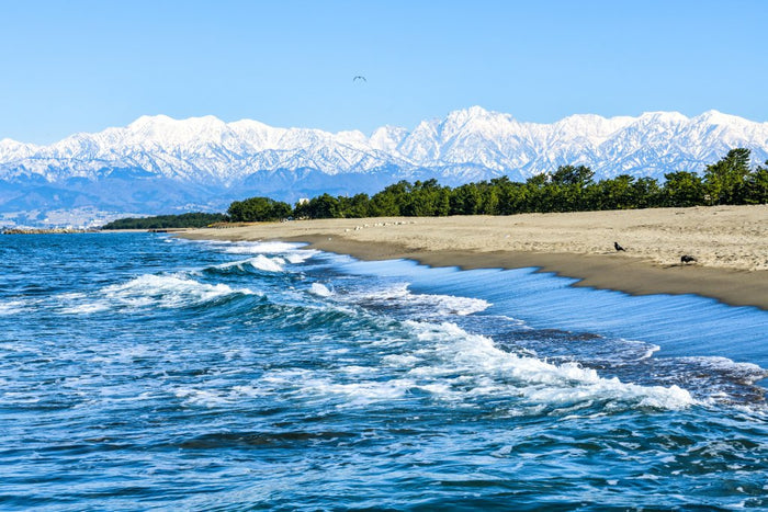 Tateyama no Okage (200ml) - All-in-One Beauty Serum made with deep-sea water from Toyama, Japan