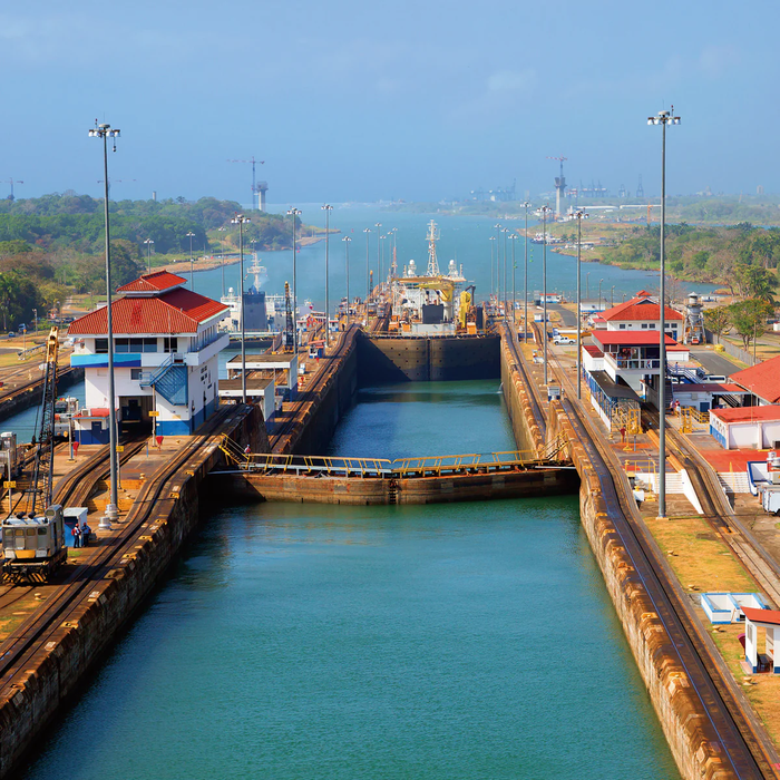 Rare Coffee Single-Origin Panama Geisha [Black Can – 80g]