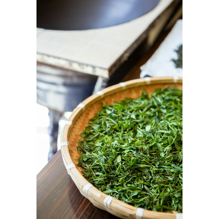 ONE WORLD Organic Yame Sencha (First Harvest) - 2g × 10 Tea Bags