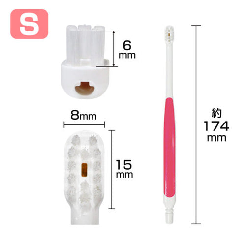 Suction Toothbrush "Cutecht" Pack of 3 Made in JAPAN