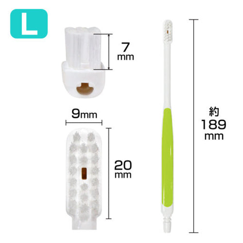 Suction Toothbrush "Cutecht" Pack of 3 Made in JAPAN
