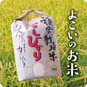 [2024 New Harvest] Omi Rice (Koshihikari) 5kg – Premium Japanese Rice, Ready to Cook