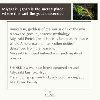 Moringa Brown Sugar Powder, with Okinawan Brown Sugar (75g)