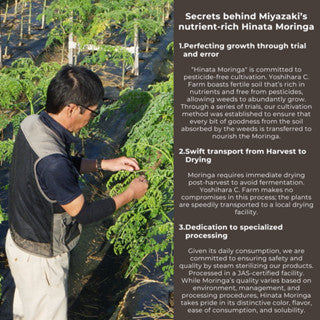 Moringa Brown Sugar Powder, with Okinawan Brown Sugar (75g)