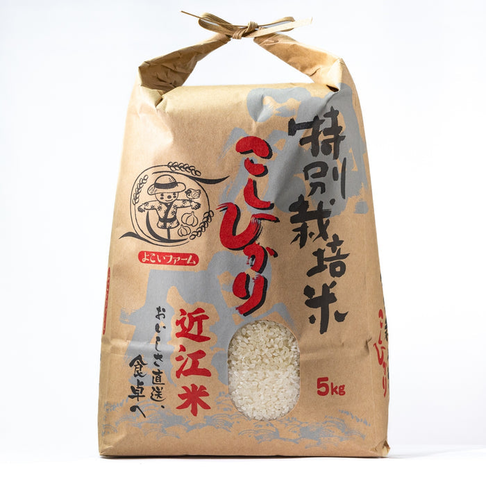 [2024 New Harvest] Omi Rice (Koshihikari) 5kg – Premium Japanese Rice, Ready to Cook