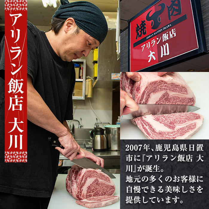 Retort Beef Tongue with Salt 100g x 2 Pack Perfect for beer enjoy finest beef tongue Arirang Hanten Made in JAPAN