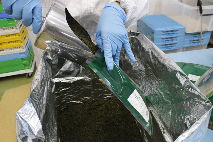 Takachiho Kama-Iri Green Tea (1kg) by Kashimaen Honpo Miyazaki, Japan