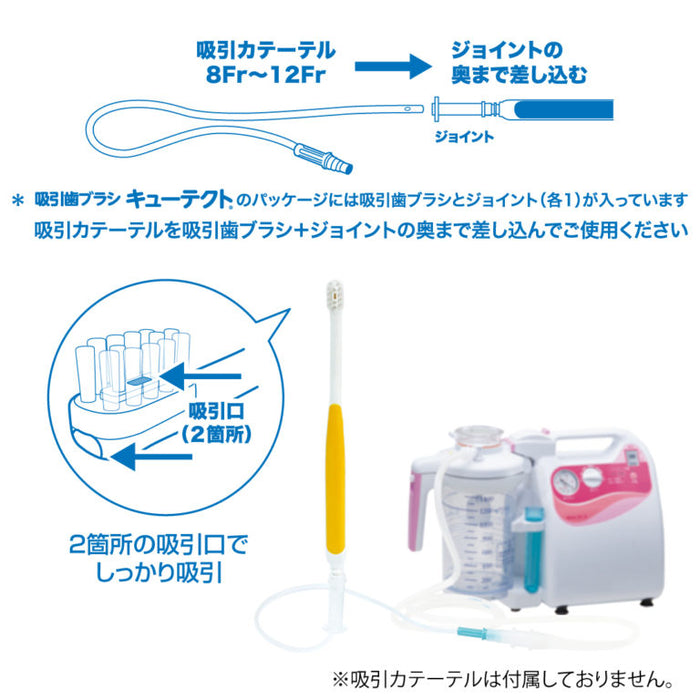 Suction Toothbrush "Cutecht" Pack of 3 Made in JAPAN